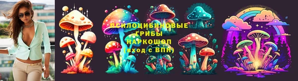 Альфа ПВП Беломорск