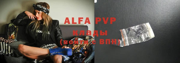 бошки Белокуриха