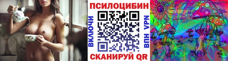 Галлюциногенные грибы Psilocybe  Сердобск 